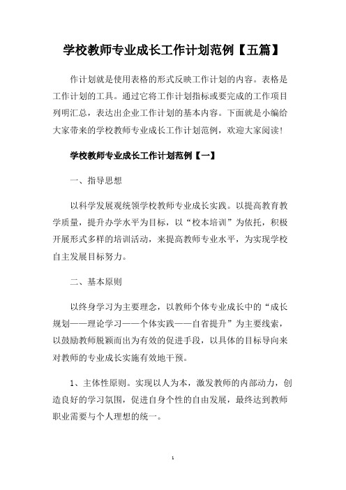 学校教师专业成长工作计划范例【五篇】.doc