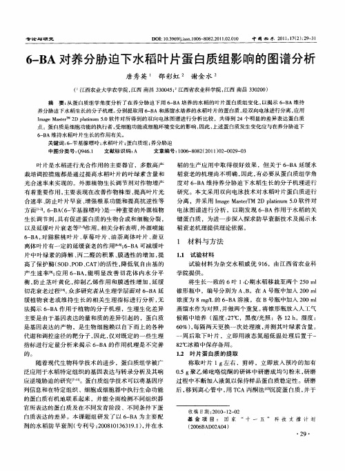 6-BA对养分胁迫下水稻叶片蛋白质组影响的图谱分析