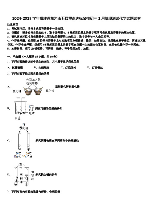 2024-2025学年福建省龙岩市五县重点达标名校初三1月阶段测试化学试题试卷含解析