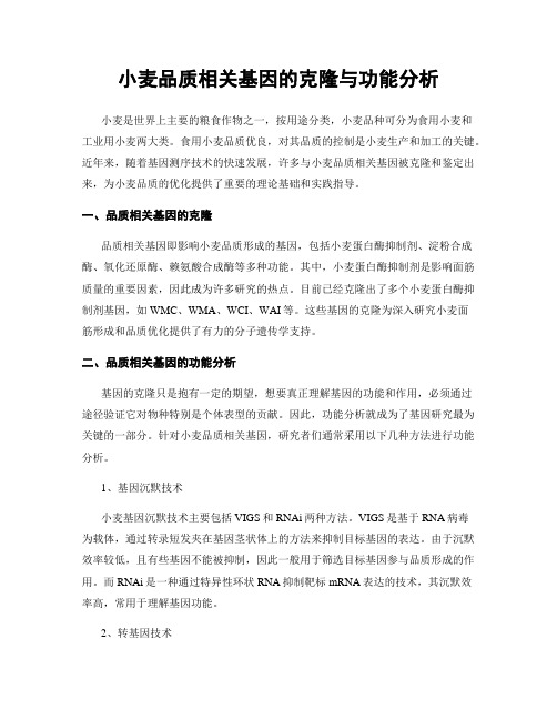 小麦品质相关基因的克隆与功能分析