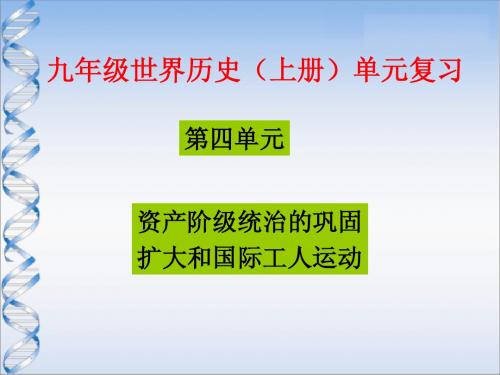 岳麓版九年级上册第三、四单元复习之二