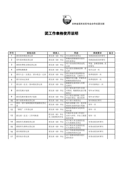 04 团工作表格使用说明