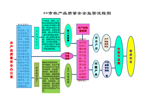 监管流程图