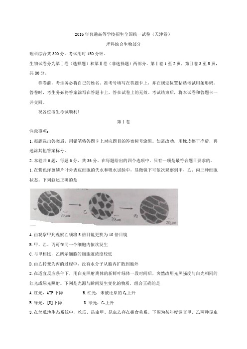 (精编word)2016年天津理综生物高考试题(含答案)