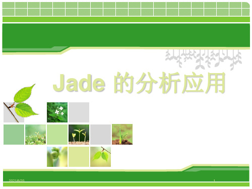 Jade的分析应用(使用详细教程)