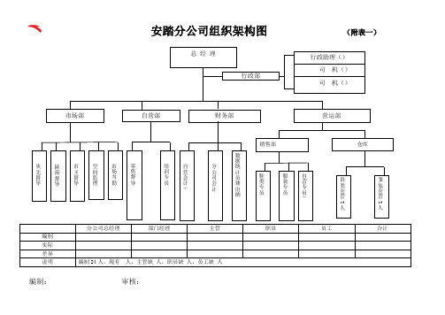 安踏分公司组织框架