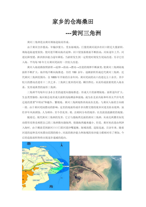 家乡的仓海桑田