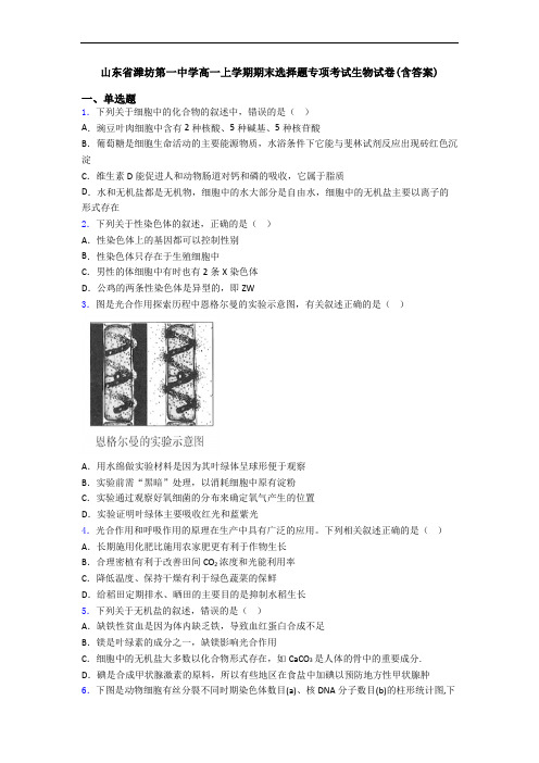 山东省潍坊第一中学高一上学期期末选择题专项考试生物试卷(含答案)