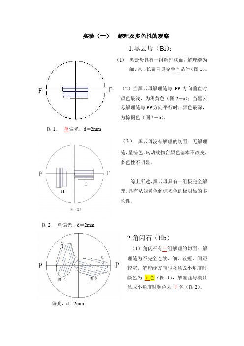 晶体光学相关资料