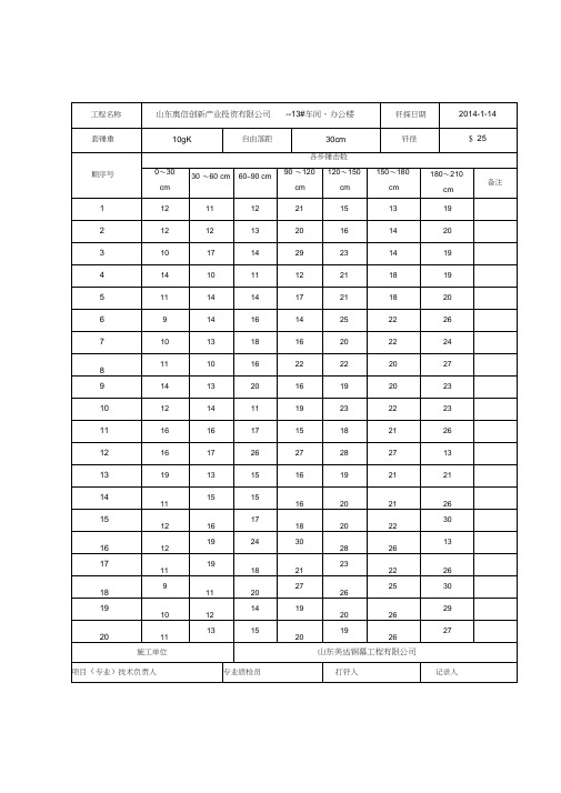 2020年体育馆17鲁JJ_043地基钎探记录13车间参照模板