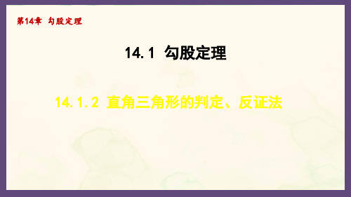 14.1.2 直角三角形的判定、反证法(课件)2024-2025-华东师大版数学八年级上册