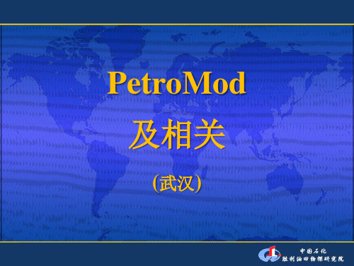 PetroMod及相关学习文档