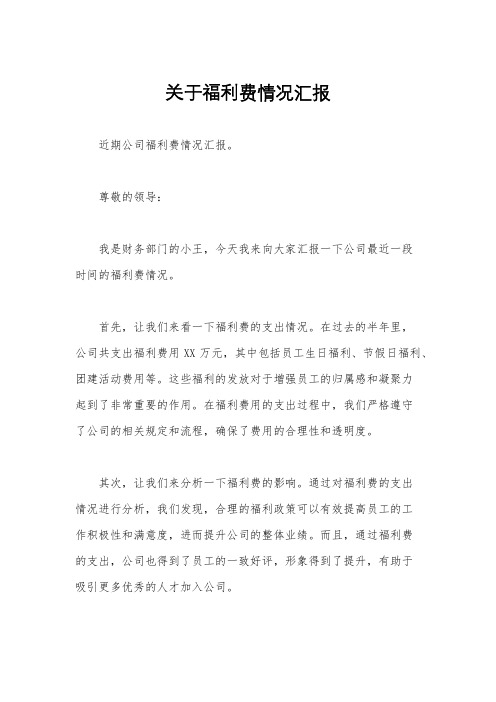 关于福利费情况汇报