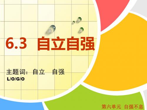 6.3自立自强