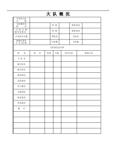 少先队大队文本记录簿电子版