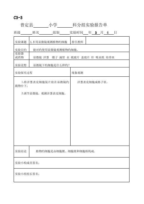 2022年新科教版六年级科学下册实验报告单