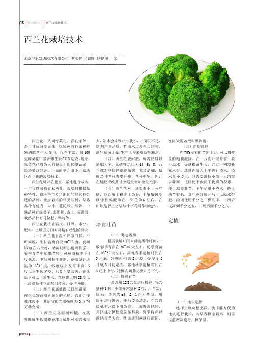 西兰花栽培技术