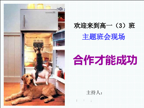 高中:《合作才能成功》主题班会课件