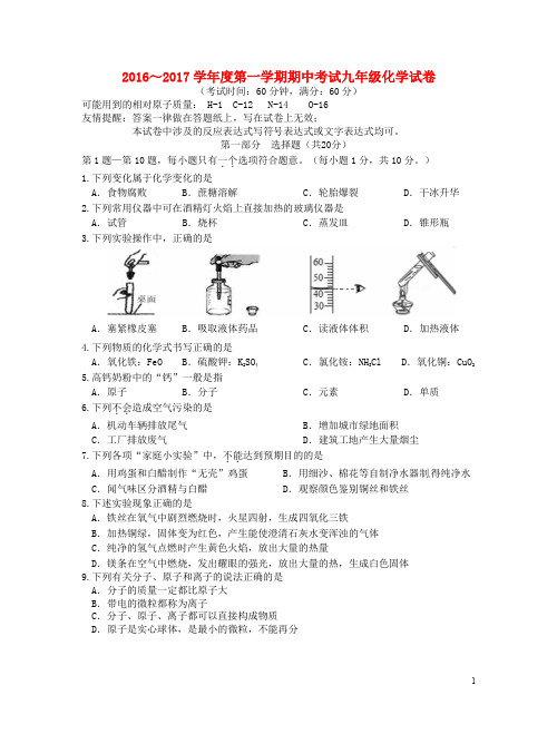 江苏省泰州市姜堰区九年级化学上学期期中试题 沪教版