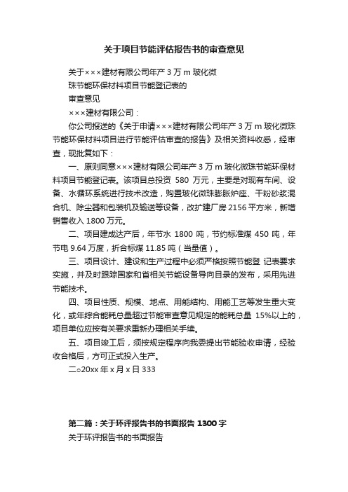 关于项目节能评估报告书的审查意见