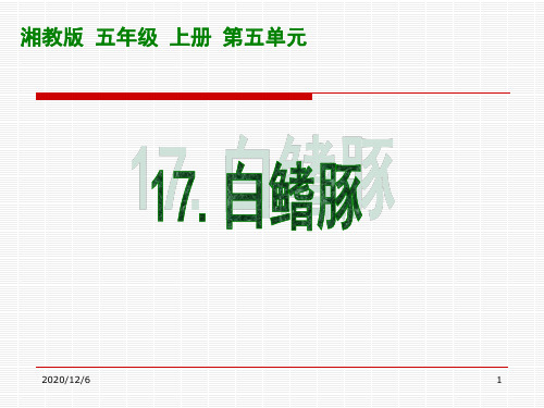 湘教版五年级语文上册 白鳍豚精品PPT教学课件