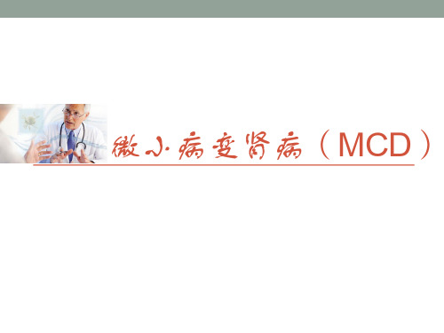 微小病变肾病(MCD)---PPT精品课件