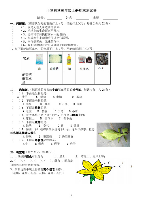 粤教版小学科学三年级上册期末测试卷