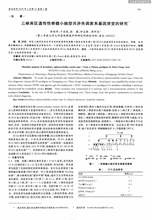 三峡库区遗传性脊髓小脑型共济失调家系基因突变的研究