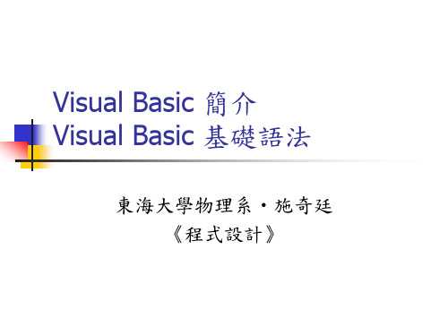 Visual Basic 简介