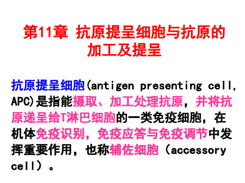 医学免疫学第六版11 抗原提呈细胞