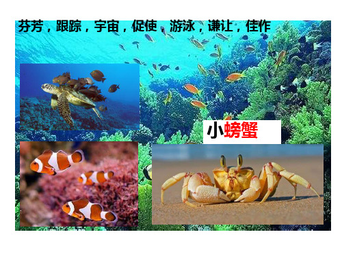 25爱写诗的小螃蟹gai