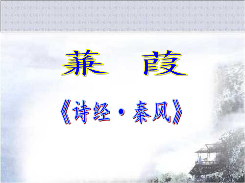 24《蒹葭》PPT