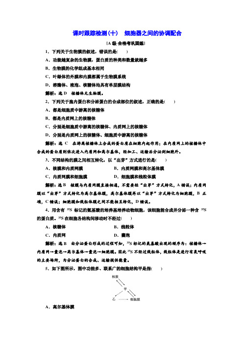 2020-2021学年高中生物新人教版必修1     细胞器之间的协调配合 作业