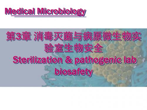 病原微生物试验室的分级ppt课件