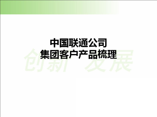 中联通公司集团客户产品梳理.pptx