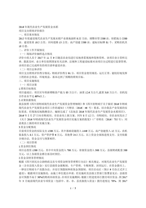 现代农业生产发展资金水稻项目支出绩效评价报告