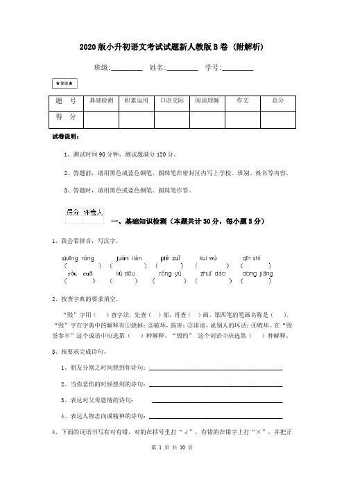 2020版小升初语文考试试题新人教版B卷 (附解析)