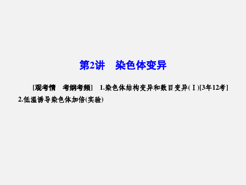 高考生物 一轮复习 5.2染色体变异 新人教版必修2