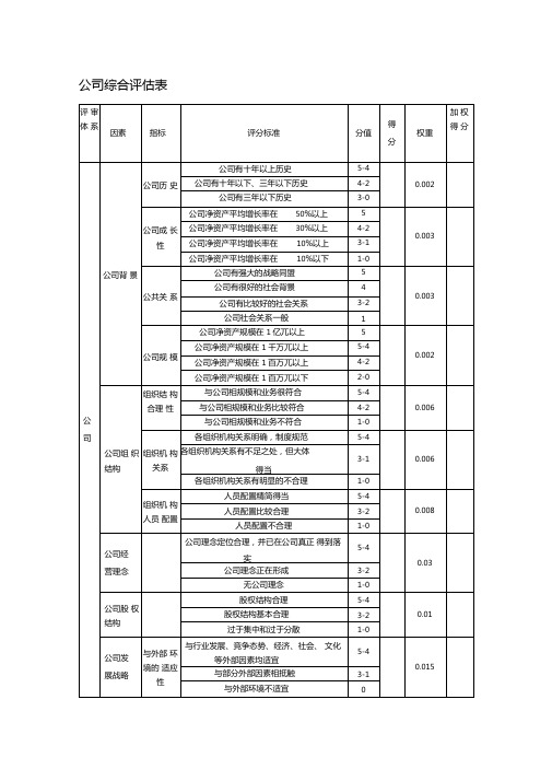 公司综合评价表-文档