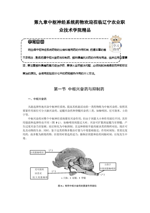 第九章中枢神经系统药物欢迎莅临辽宁农业职业技术学院精品