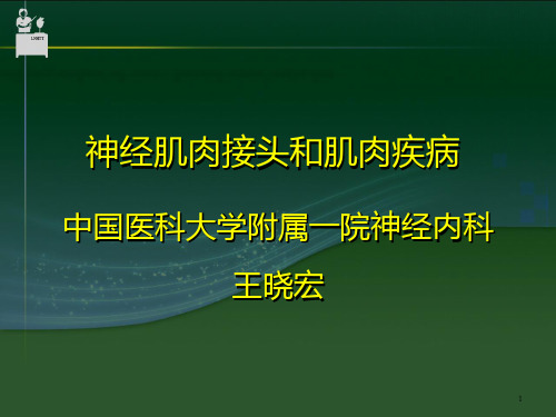 神经肌肉接头和肌肉疾病中国医科大学PPT课件