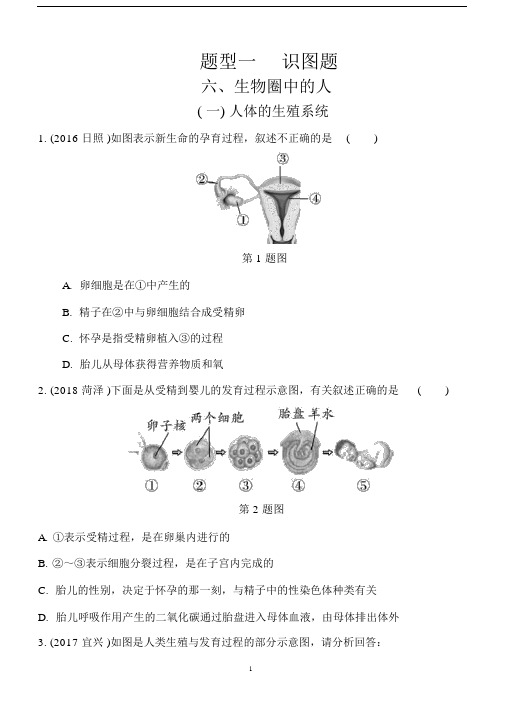 初中中考生物重点题型突破题型一识图题6.生物圈中的人包括答案解析.docx