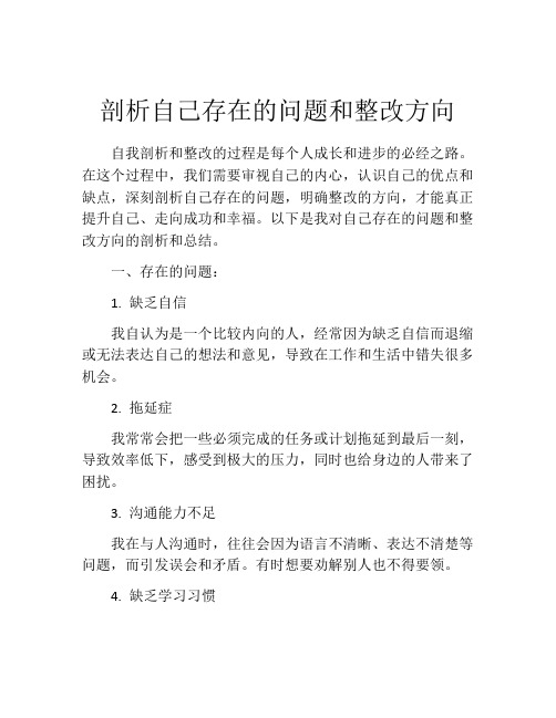 剖析自己存在的问题和整改方向