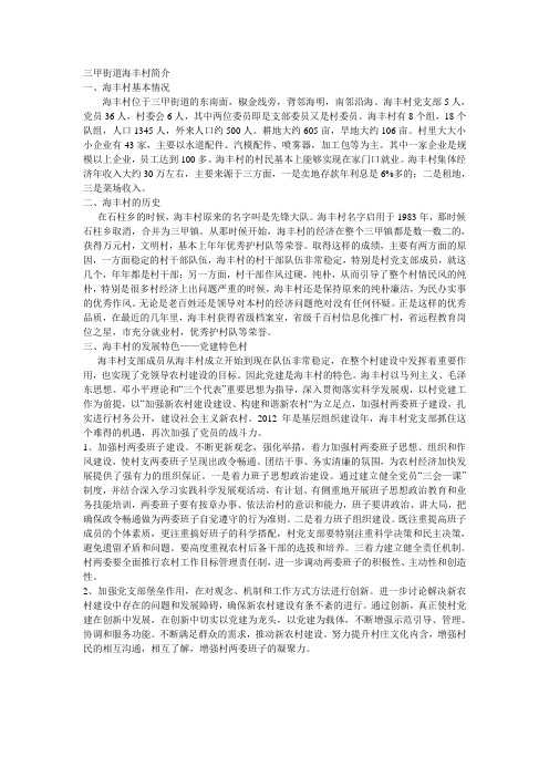 三甲街道海丰村简介