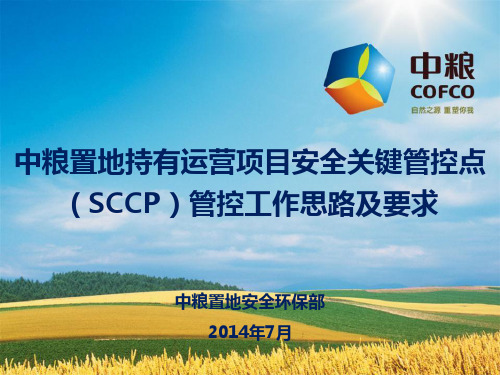 SCCP管控工作思路及要求(终)