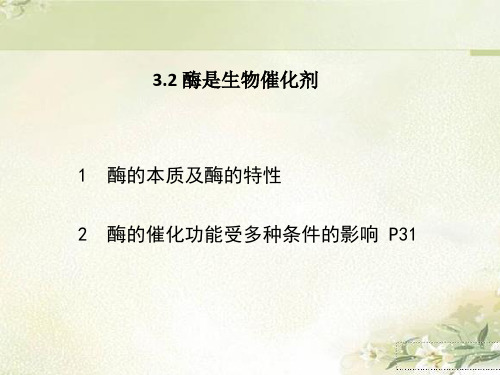 新教材浙科版高中生物必修一 3.2酶是生物催化剂 教学课件