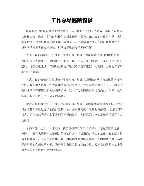 工作总结医院稽核