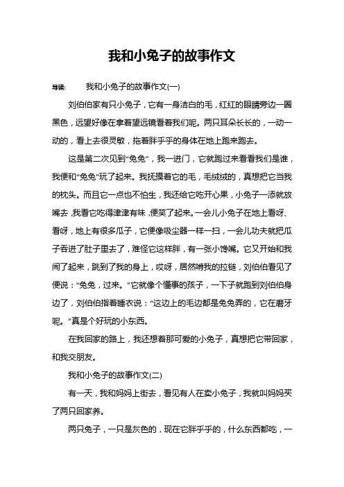 我和小兔子的故事作文