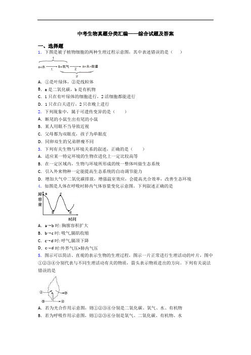 中考生物真题分类汇编——综合试题及答案