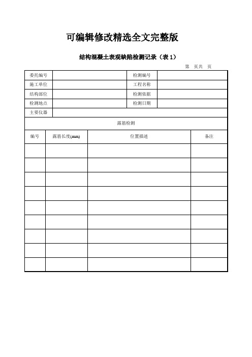 结构混凝土表观缺陷检测记录精选全文完整版